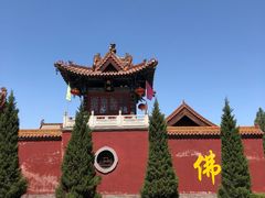 -大槐树寻根祭祖园