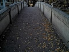 -青城公园
