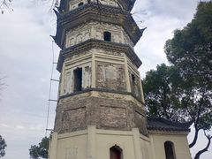 -苏州上方山国家森林公园
