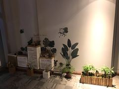 -Primo·丽莫意大利窑烤披萨