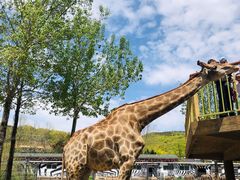 -大连森林动物园