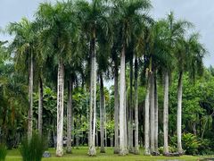 -中国科学院西双版纳热带植物园