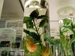 -北京中医药大学-中医药博物馆