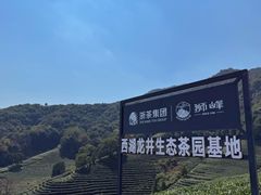 -龙坞茶村