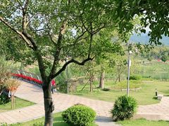-牛岗山公园