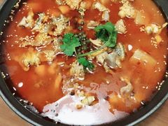 自制泡菜牛蛙锅-付掌柜在成都·热炒砂锅集(金禾店)