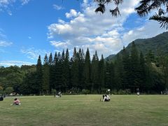 -深圳仙湖植物园