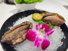 十头鲍-海月轩海鲜豆捞(紫金塔店)