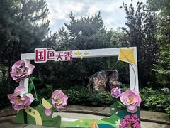 -太阳宫公园