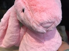 -PAWTOY爪e玩偶店(天兴罗斯福店)