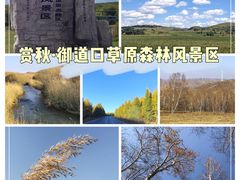 -御道口草原森林风景区