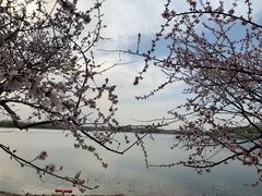 -大兴滨河森林公园