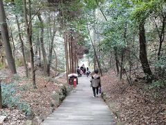 -缙云山景区