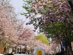 -天津五大道文化旅游区