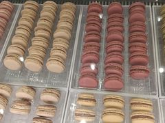 -Pierre Marcolini(德基广场店)