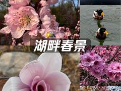 -燕郊植物园