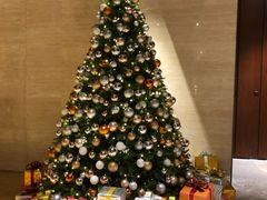 大堂-北京望京凯悦酒店The Lounge大堂酒廊