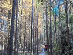 -上海海湾国家森林公园