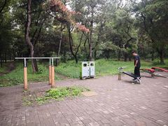 -长春市南湖公园