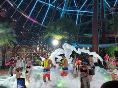 -三亚海昌梦幻海洋不夜城