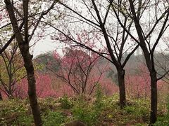 -福清灵石山国家森林公园