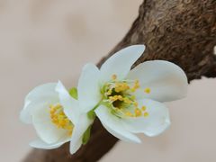 -天津东丽湖风景区