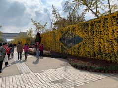 -上海大学宝山-图书馆
