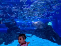 -成都浩海立方海洋公园