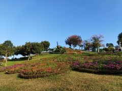 -东莞植物园