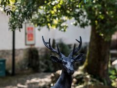 -浙江省博物馆(孤山馆区)