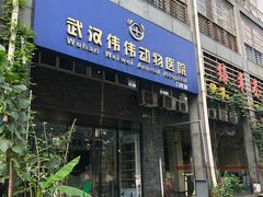 -伟伟宠物医院·CT影像中心·瑞派犬猫综合性门诊(汉口总院)