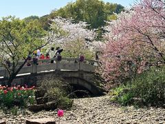-苏州上方山国家森林公园