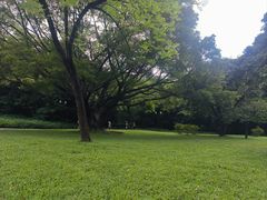 -莲花山公园