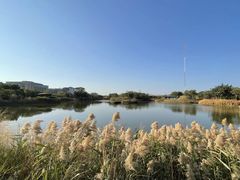 -福田红树林生态公园
