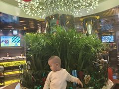 -润园四季椰子鸡火锅(海上世界店)
