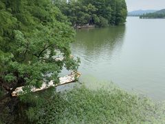 -东湖落雁景区