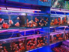 -苏州艺都古玩花鸟市场