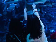 -成都浩海立方海洋公园