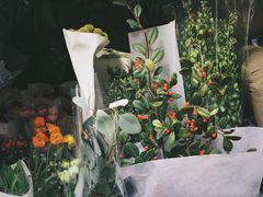 -溪岸路花鸟市场