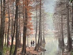 -广州市白云山风景名胜区