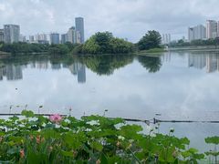 -南宁南湖公园