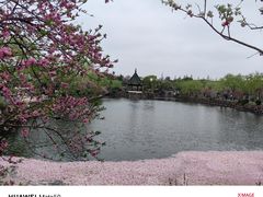 -无锡蠡湖国家湿地公园-蠡园