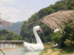 -千岛湖龙川湾