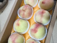 -老袁家蜜桃农场·阳山水蜜桃