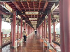 -白鹭洲书院