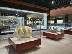 -青岛贝壳博物馆