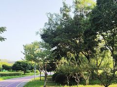 -尚贤河湿地
