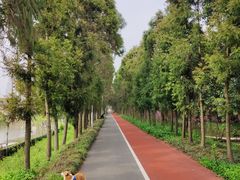 -上海长兴岛郊野公园