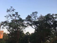 -飞凤山奥体公园