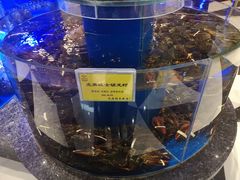 -新海渔港·胶东海鲜家常菜·家宴(奥体中心店)
